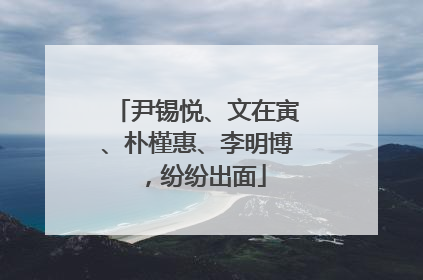 尹锡悦、文在寅、朴槿惠、李明博，纷纷出面