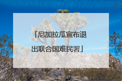 尼加拉瓜宣布退出联合国难民署