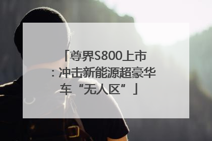 尊界S800上市：冲击新能源超豪华车“无人区”