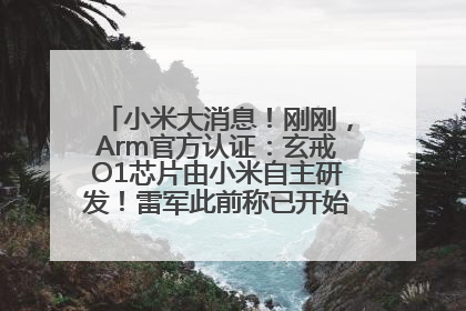 小米大消息！刚刚，Arm官方认证：玄戒O1芯片由小米自主研发！雷军此前称已开始大规模量产