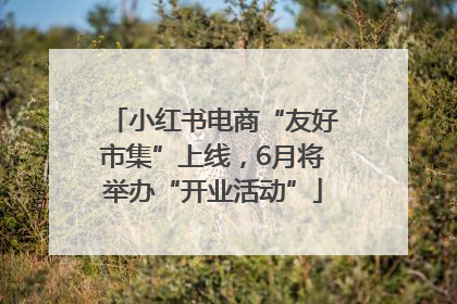 小红书电商“友好市集”上线，6月将举办“开业活动”