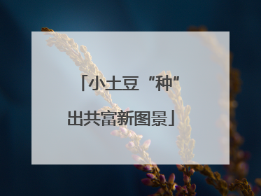 小土豆“种”出共富新图景