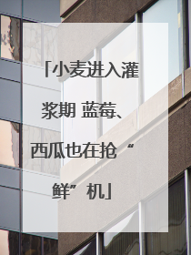 小麦进入灌浆期 蓝莓、西瓜也在抢“鲜”机