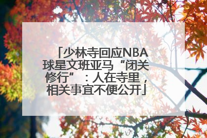 少林寺回应NBA球星文班亚马“闭关修行”：人在寺里，相关事宜不便公开