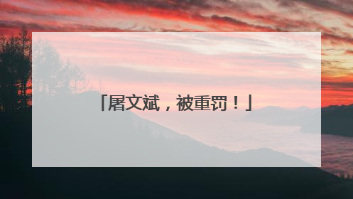 屠文斌，被重罚！