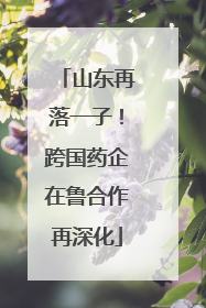 山东再落一子！跨国药企在鲁合作再深化