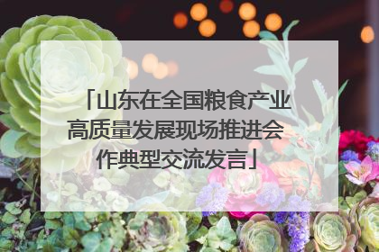 山东在全国粮食产业高质量发展现场推进会作典型交流发言
