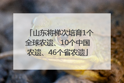 山东将梯次培育1个全球农遗、10个中国农遗、46个省农遗