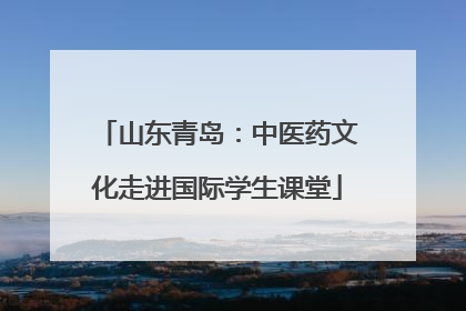 山东青岛：中医药文化走进国际学生课堂