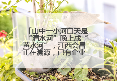 山中一小河白天是“清水河”晚上成“黄水河”，江西会昌正在溯源，已有企业被要求停工