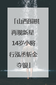 山西围棋再现新星 14岁小将行泓丞斩金夺银