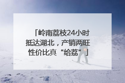 岭南荔枝24小时抵达湖北，产销两旺性价比真“给荔”