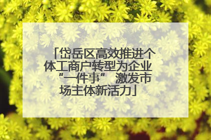 岱岳区高效推进个体工商户转型为企业“一件事” 激发市场主体新活力