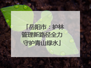 岳阳市：护林管理新路径全力守护青山绿水
