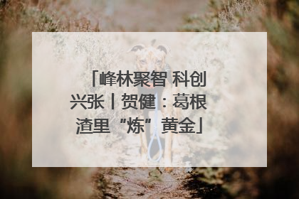 峰林聚智 科创兴张丨贺健：葛根渣里“炼”黄金