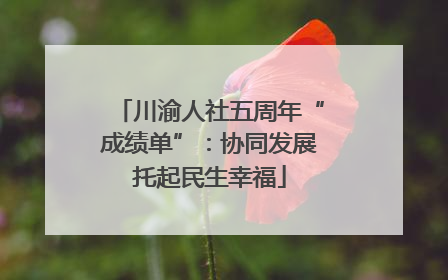 川渝人社五周年“成绩单”：协同发展托起民生幸福