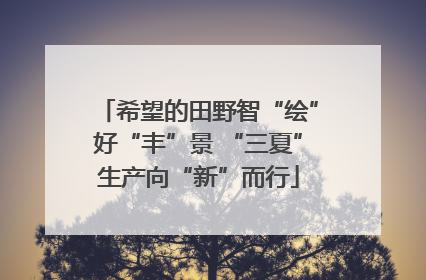 希望的田野智“绘”好“丰”景 “三夏”生产向“新”而行