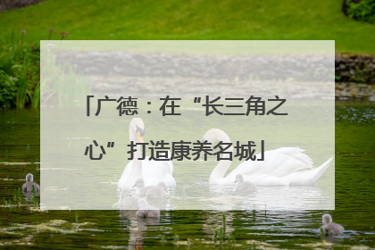 广德：在“长三角之心”打造康养名城