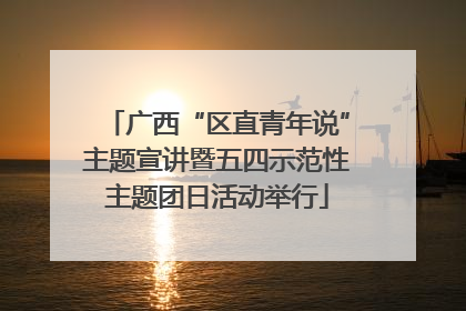 广西“区直青年说”主题宣讲暨五四示范性主题团日活动举行