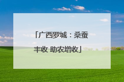 广西罗城：桑蚕丰收 助农增收