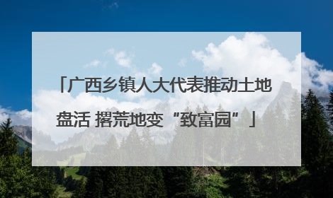 广西乡镇人大代表推动土地盘活 撂荒地变“致富园”