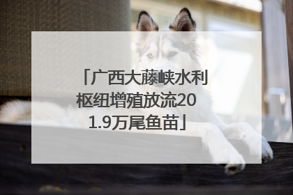 广西大藤峡水利枢纽增殖放流201.9万尾鱼苗