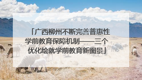 广西柳州不断完善普惠性学前教育保障机制——三个优化绘就学前教育新图景