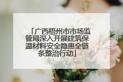 广西梧州市市场监管局深入开展建筑保温材料安全隐患全链条整治行动