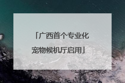 广西首个专业化宠物候机厅启用