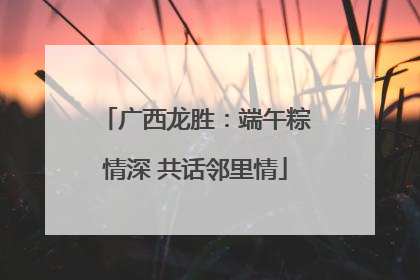 广西龙胜：端午粽情深 共话邻里情