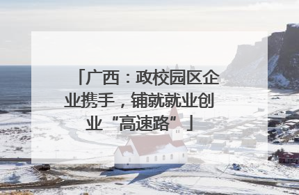 广西：政校园区企业携手，铺就就业创业“高速路”
