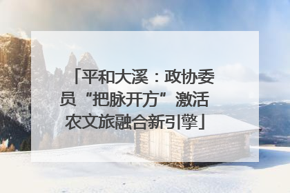 平和大溪：政协委员“把脉开方”激活农文旅融合新引擎