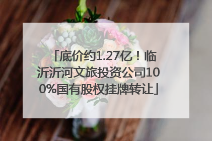 底价约1.27亿！临沂沂河文旅投资公司100%国有股权挂牌转让
