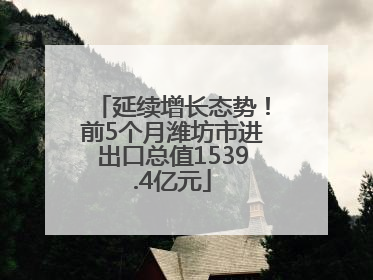 延续增长态势！前5个月潍坊市进出口总值1539.4亿元