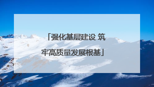 强化基层建设 筑牢高质量发展根基