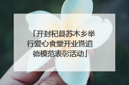 开封杞县苏木乡举行爱心食堂开业暨道德模范表彰活动