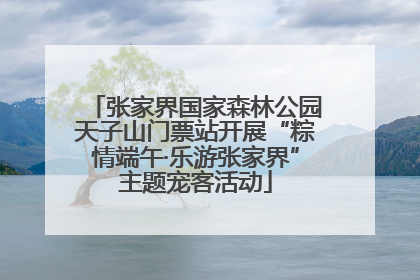 张家界国家森林公园天子山门票站开展“粽情端午·乐游张家界”主题宠客活动