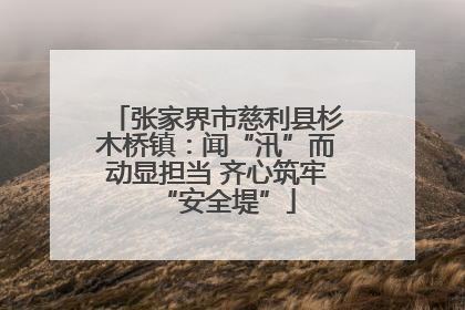 张家界市慈利县杉木桥镇：闻“汛”而动显担当 齐心筑牢“安全堤”