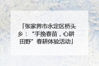 张家界市永定区桥头乡：“手挽春苗，心耕田野”春耕体验活动