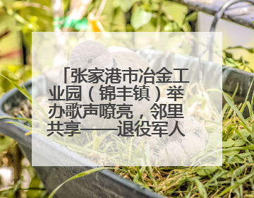 张家港市冶金工业园（锦丰镇）举办歌声嘹亮，邻里共享——退役军人音乐分享会