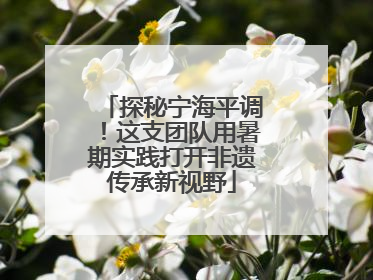 探秘宁海平调！这支团队用暑期实践打开非遗传承新视野