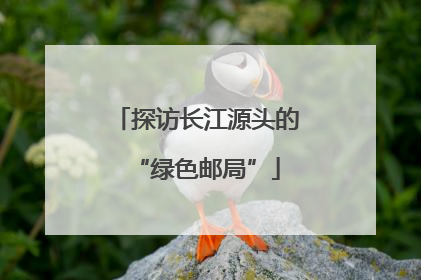 探访长江源头的“绿色邮局”