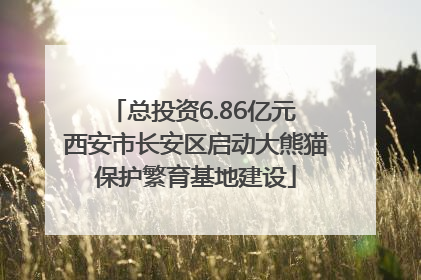 总投资6.86亿元 西安市长安区启动大熊猫保护繁育基地建设