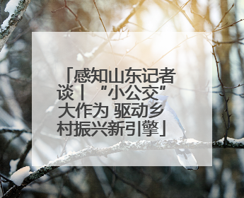 感知山东记者谈丨“小公交”大作为 驱动乡村振兴新引擎