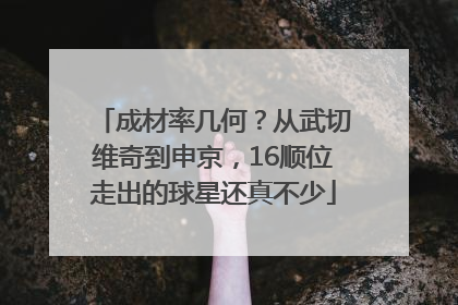 成材率几何？从武切维奇到申京，16顺位走出的球星还真不少
