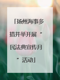 扬州海事多措并举开展“民法典宣传月”活动