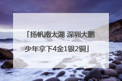 扬帆南太湖 深圳大鹏少年拿下4金1银2铜