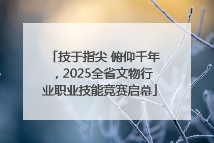 技于指尖 俯仰千年，2025全省文物行业职业技能竞赛启幕