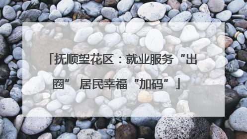 抚顺望花区：就业服务“出圈” 居民幸福“加码”