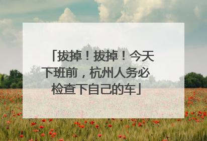 拔掉！拔掉！今天下班前，杭州人务必检查下自己的车